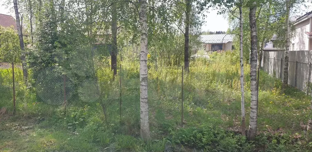 Участок 10 сот. (ИЖС) - Фото 1