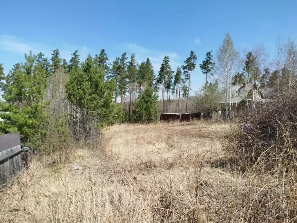 Участок в Иркутская область, Иркутский муниципальный округ, Росинка ... - Фото 1