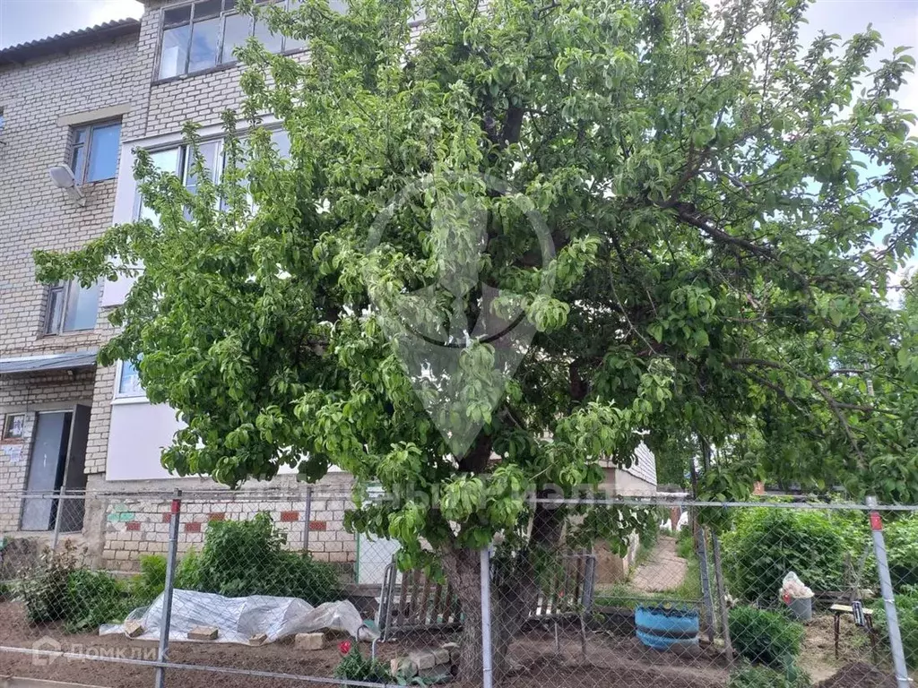 Продаётся 3-к квартира, 72.5 м - Фото 1