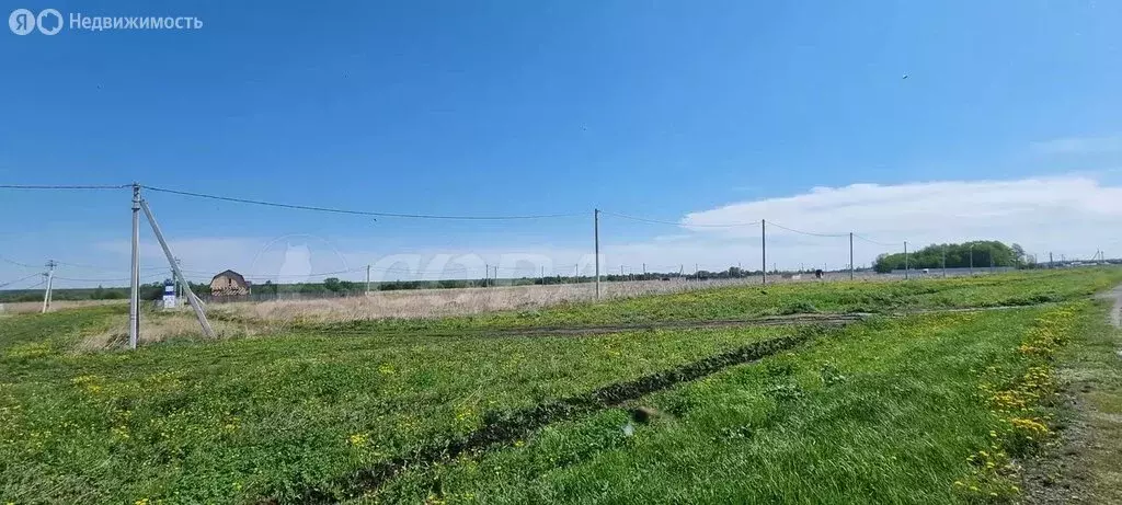 Участок в Червишевское муниципальное образование (8 м) - Фото 1