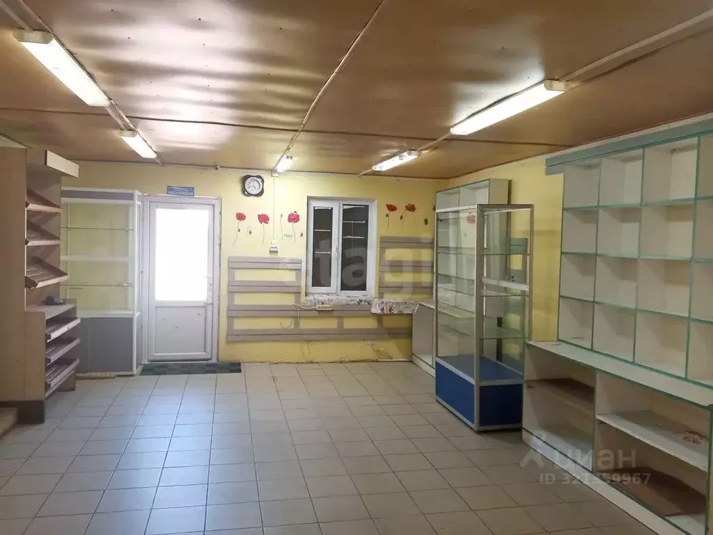 Помещение свободного назначения в Псковская область, Остров ... - Фото 1