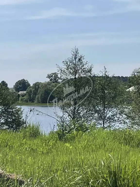 Участок в Калужская область, Дзержинский муниципальный округ, Угорское ... - Фото 2