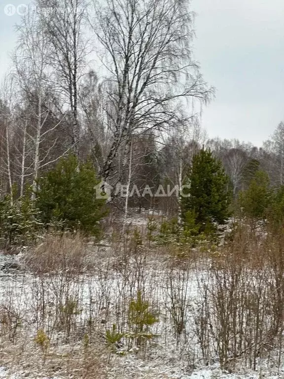 Участок в Никольский сельсовет, деревня Вечерницы (150 м) - Фото 1