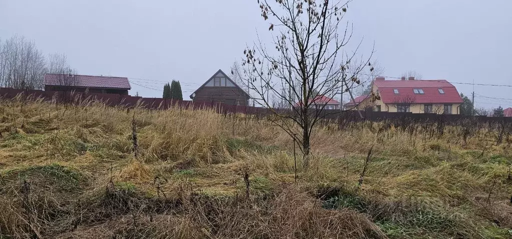 Участок в Московская область, Луховицы муниципальный округ, д. Берхино ... - Фото 1