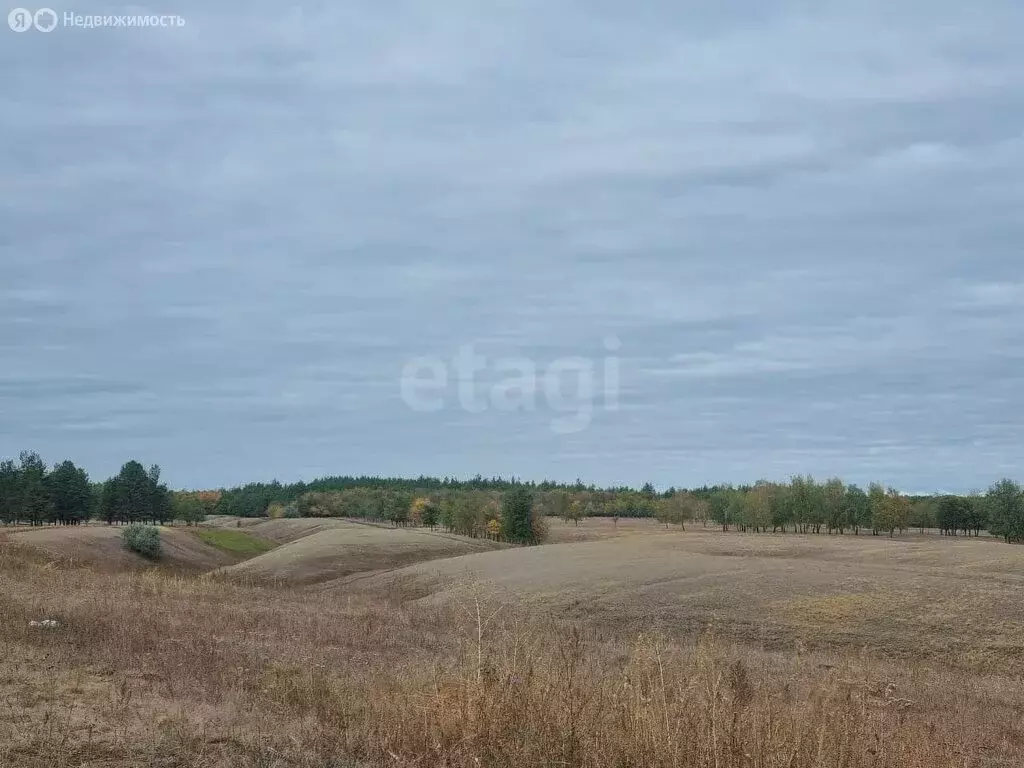 Участок в Красноармейск, Северная улица (8 м) - Фото 2
