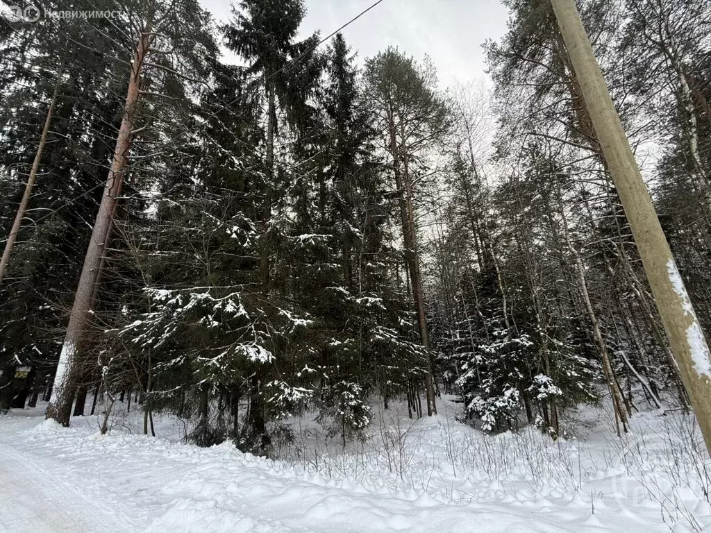 Участок в посёлок Первомайское, Дачная улица (11.07 м) - Фото 1