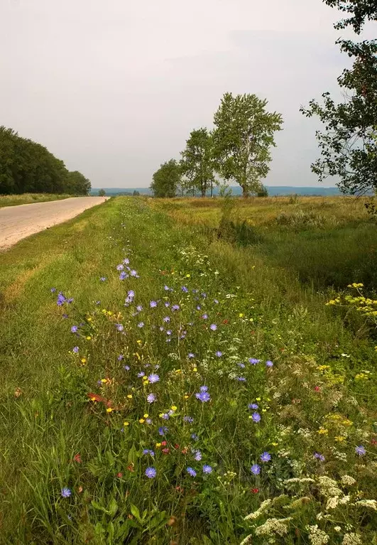 Участок в Самарская область, Волжский район, с. Рождествено  (4.8 га.) - Фото 2