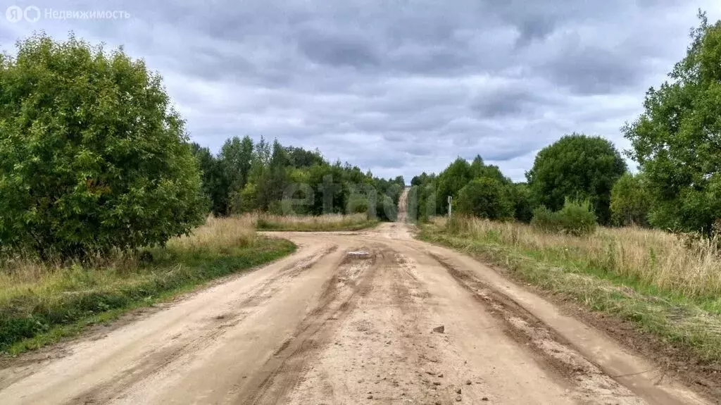 Участок в Ярославская область, Первомайский муниципальный округ, ... - Фото 1