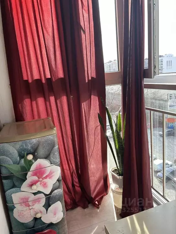 Студия Краснодарский край, Анапа ул. Мирная, 29к8 (38.0 м) - Фото 2