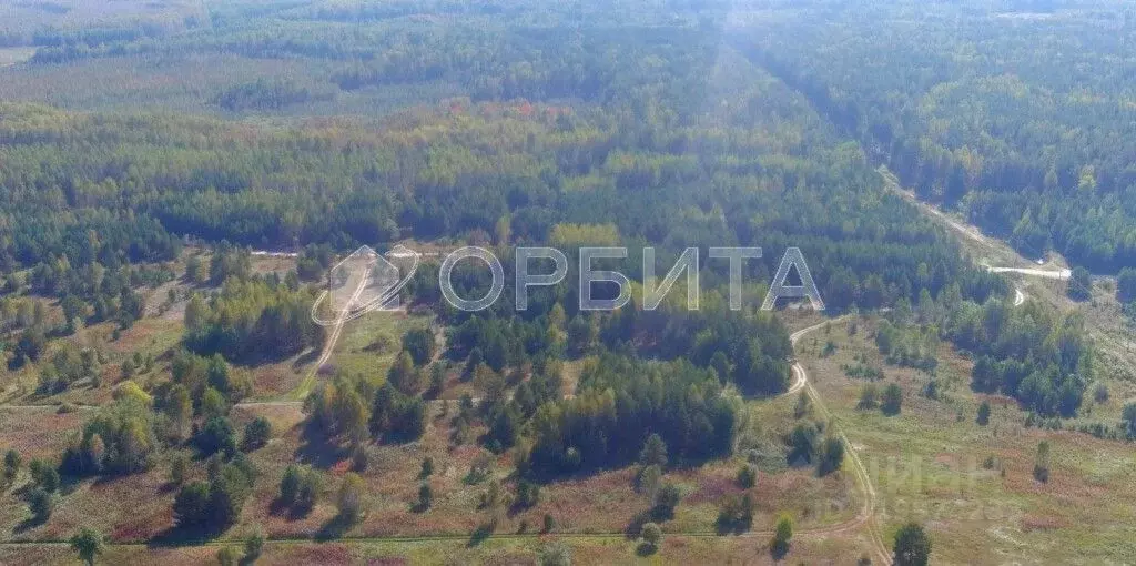 Участок в Тюменская область, Нижнетавдинский район, пос. Мияги ул. ... - Фото 0