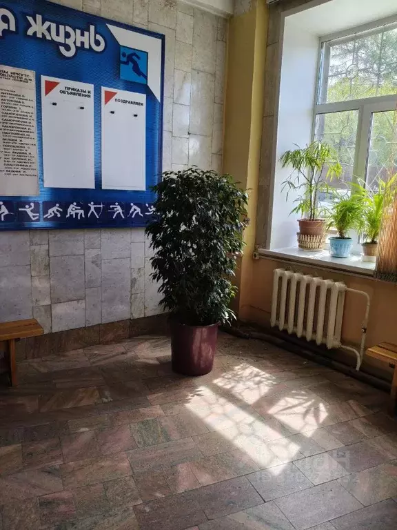 Помещение свободного назначения в Иркутская область, Иркутск ул. Карла ... - Фото 1