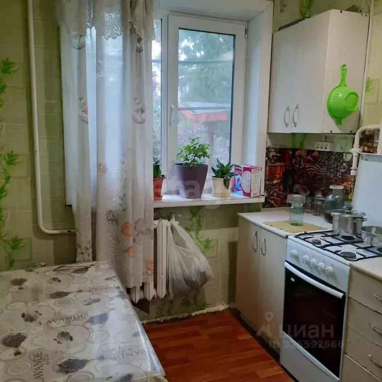 Комната Хабаровский край, Хабаровский район, Тополевское с/пос, с. ... - Фото 1