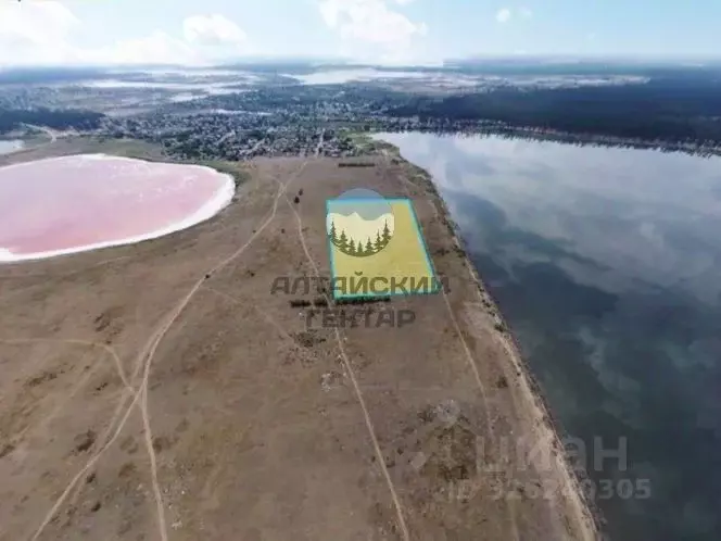 Участок в Алтайский край, Михайловский район, Малиновое Озеро рп  ... - Фото 2
