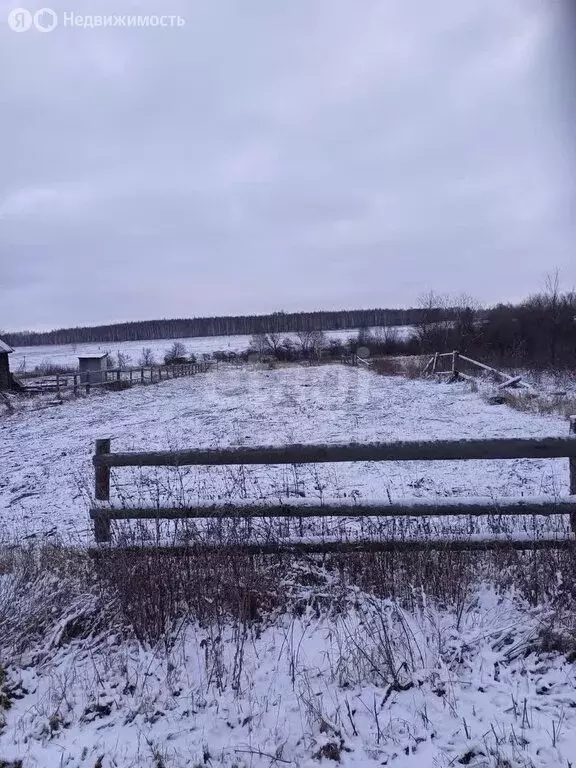 Участок в Тамбовская область, Мичуринский муниципальный округ, село ... - Фото 1
