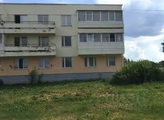 3-к кв. Татарстан, Сармановский район, с. Янурусово  (73.6 м) - Фото 0