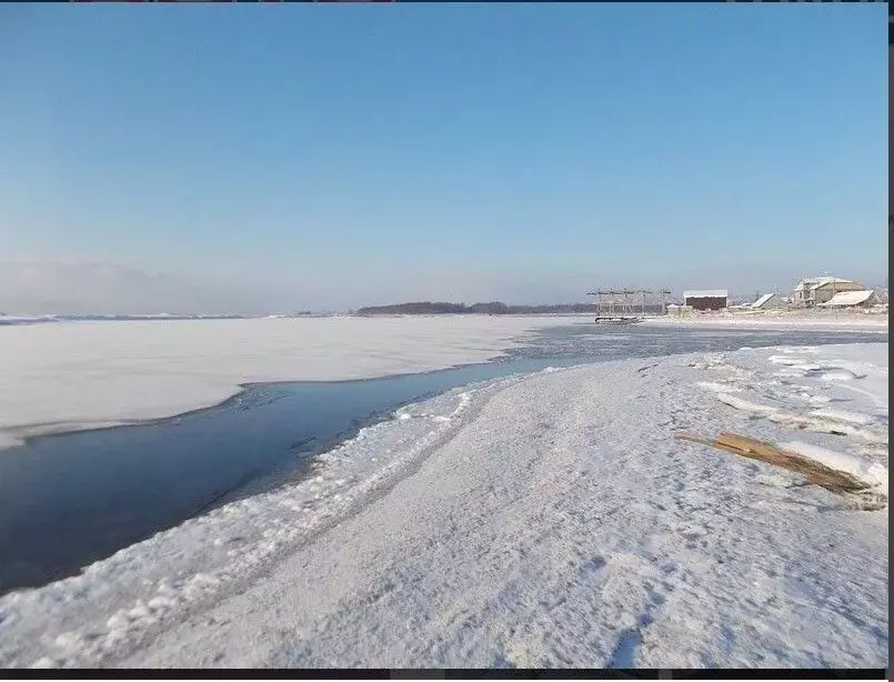 Дом в Сахалинская область, Анивский городской округ, с. Рыбацкое ул. ... - Фото 1