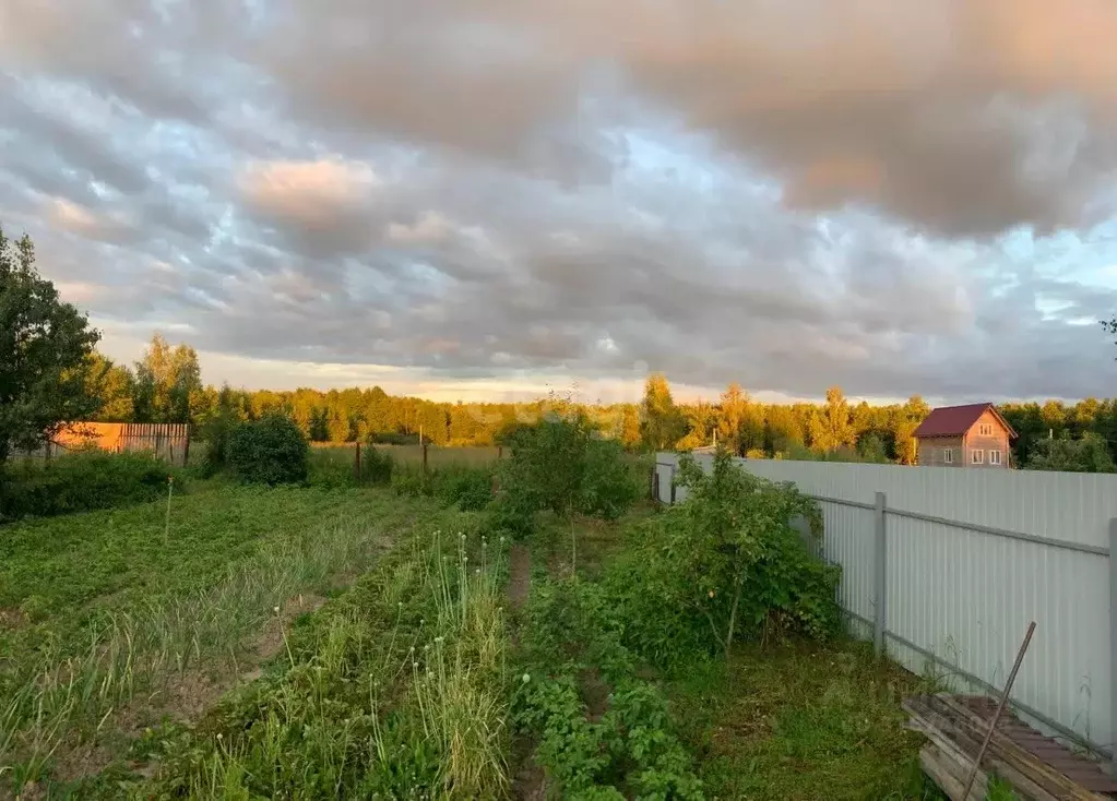 Участок в Ярославская область, Гаврилов-Ямский муниципальный округ, д. ... - Фото 1