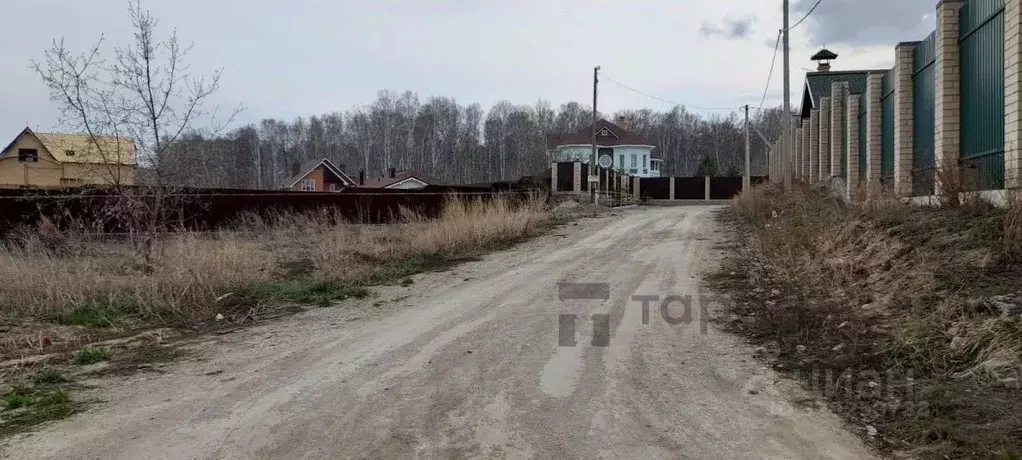 Участок в Челябинская область, Сосновский муниципальный округ, с. ... - Фото 2