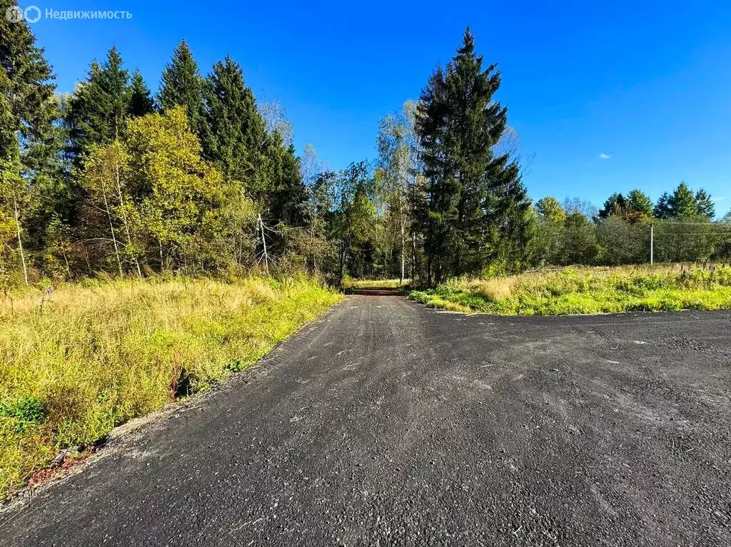 Участок в Московская область, Дмитровский муниципальный округ, КП ... - Фото 1