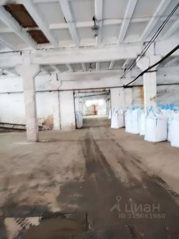 Склад в Владимирская область, Владимир Большая Нижегородская ул., 81 ... - Фото 1
