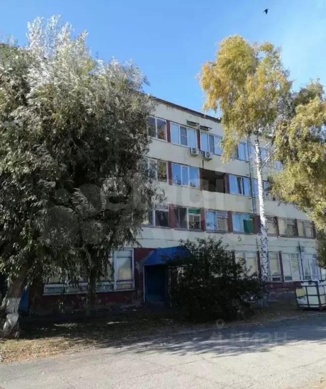 Помещение свободного назначения в Саратовская область, Калининск ул. ... - Фото 1