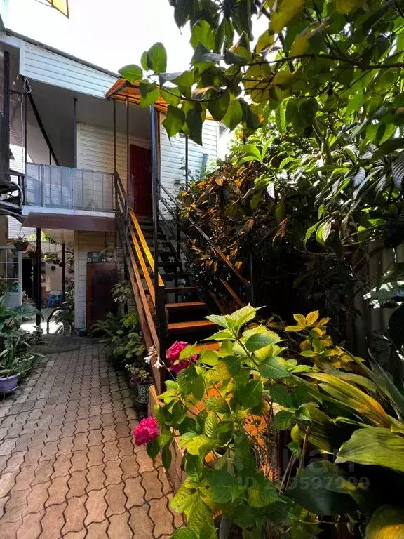 Комната Краснодарский край, Сочи ул. Куйбышева, 43 - Фото 1