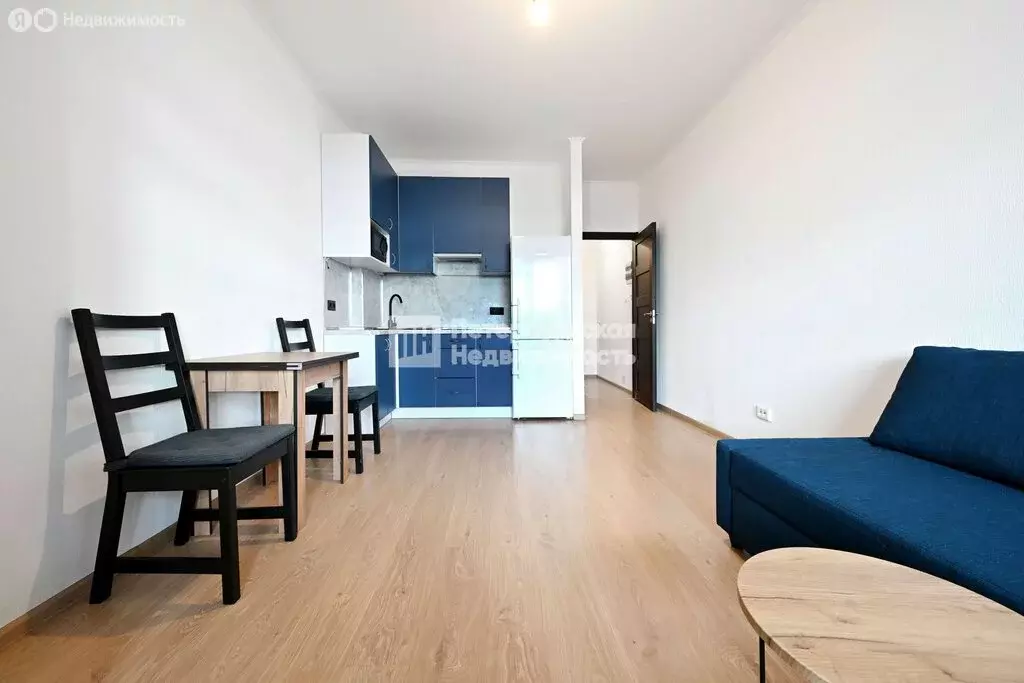 Квартира-студия: Санкт-Петербург, улица Катерников, 7 (24.5 м) - Фото 1