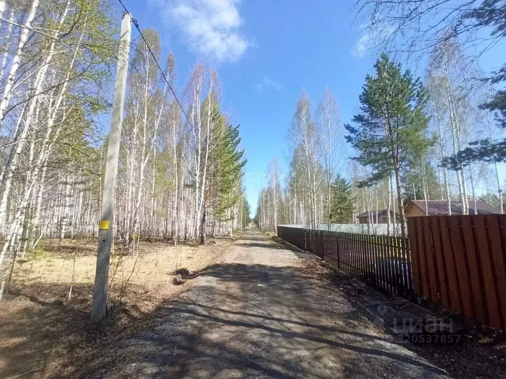 Участок в Тюменская область, Нижнетавдинский район, Царицыно СНТ ул. ... - Фото 0