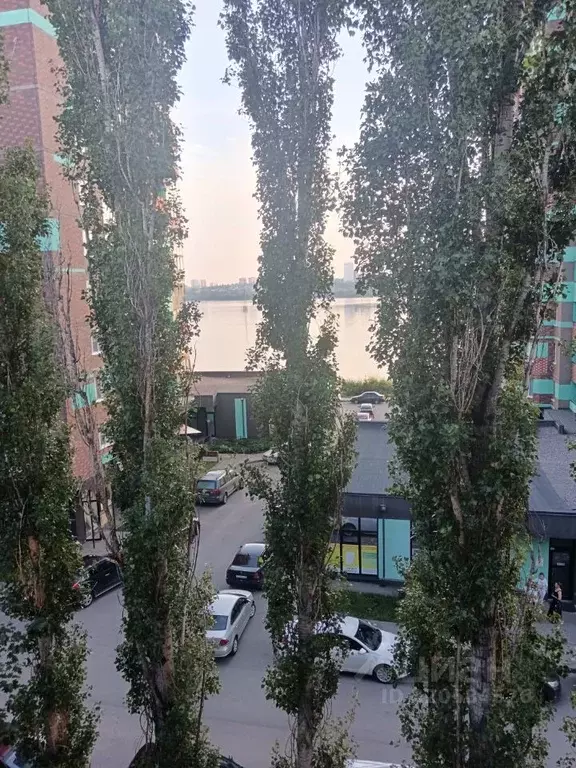 3-к кв. Воронежская область, Воронеж ул. Артамонова, 4а (56.5 м) - Фото 0