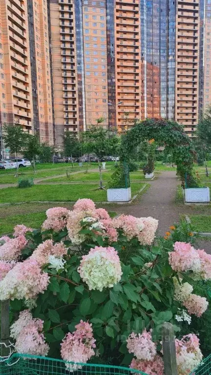 1-к кв. Санкт-Петербург пос. Парголово, ул. Федора Абрамова, 23к1 ... - Фото 0