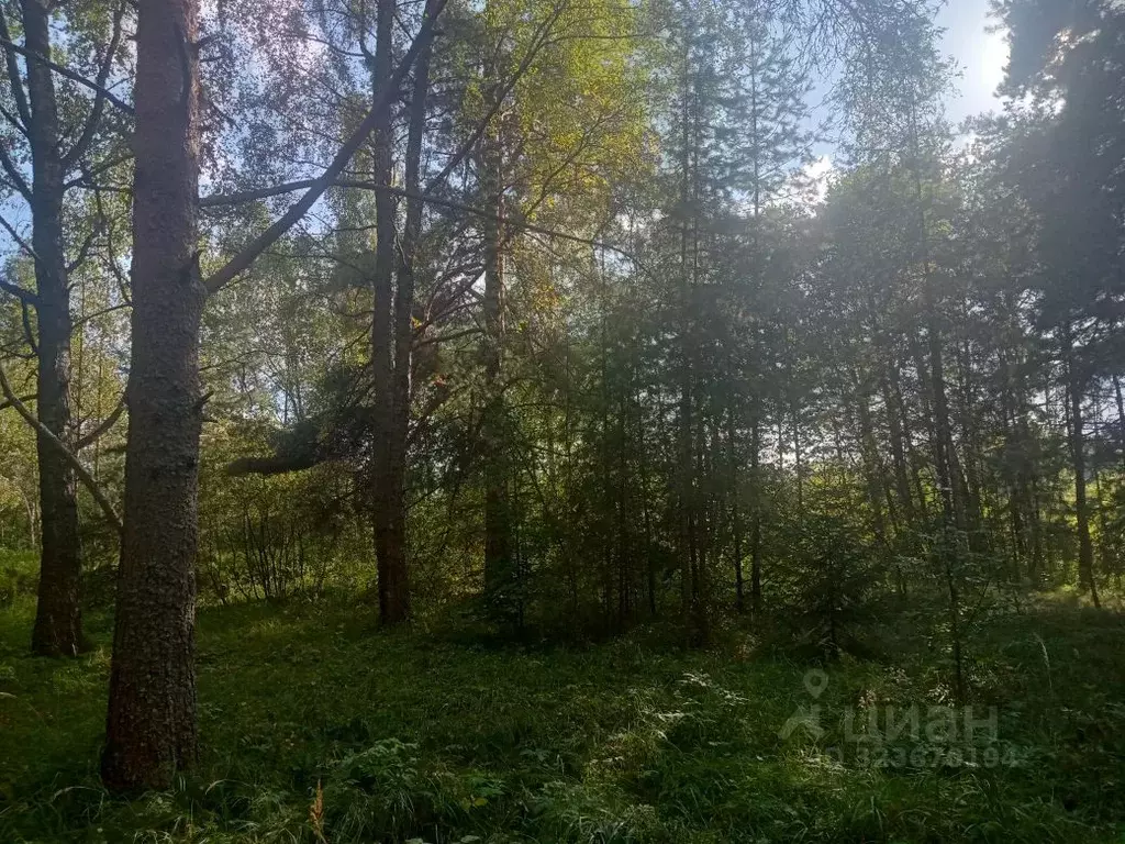 Участок в Московская область, Клин городской округ, с. Воздвиженское  ... - Фото 2