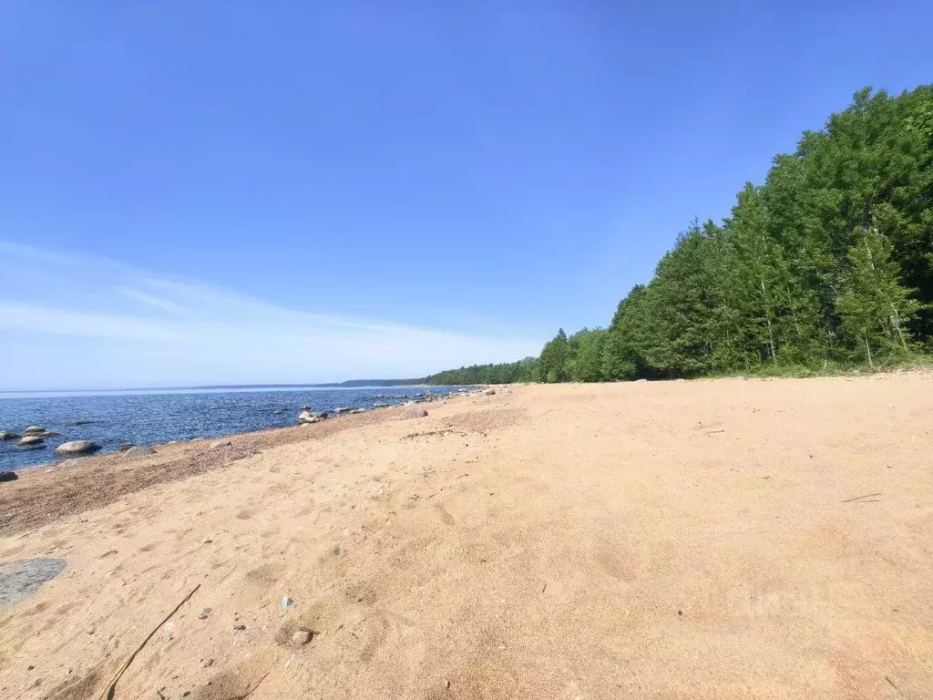 Участок в Санкт-Петербург пос. Ушково, Литорино кп,  (24.1 сот.) - Фото 1