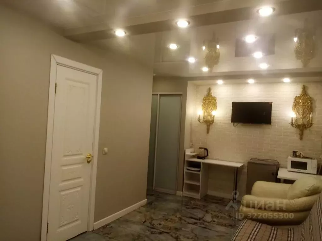 Студия Свердловская область, Екатеринбург ул. Хохрякова, 100 (25.0 м) - Фото 1