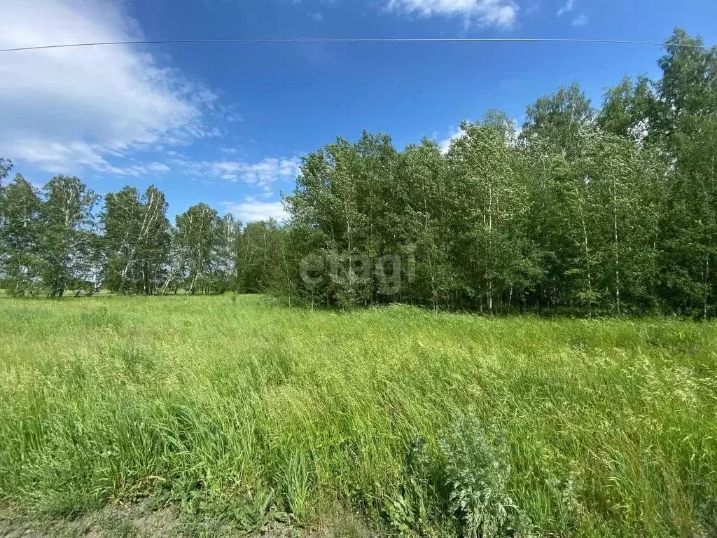 Участок в Курганская область, с. Кетово ул. Новоселов (12.0 сот.) - Фото 0