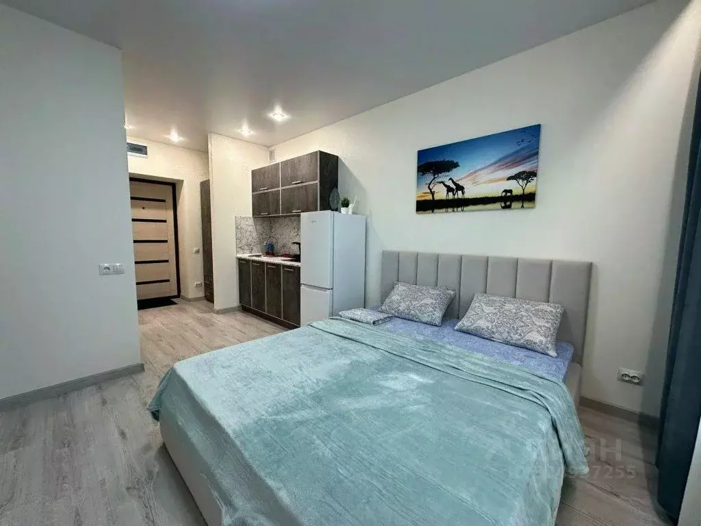 1-к кв. Алтайский край, Барнаул тракт Павловский, 60Б (25.0 м) - Фото 1