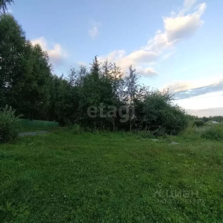 Участок в Тюменская область, Нижнетавдинский муниципальный округ, ... - Фото 1