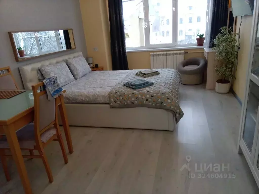 Студия Ленинградская область, Выборг ул. Водной Заставы, 6 (25.0 м) - Фото 2