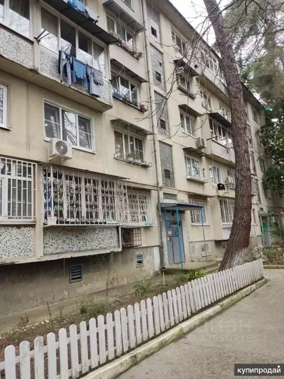 3-к кв. Краснодарский край, Сочи городской округ, Дагомыс пгт ул. ... - Фото 2