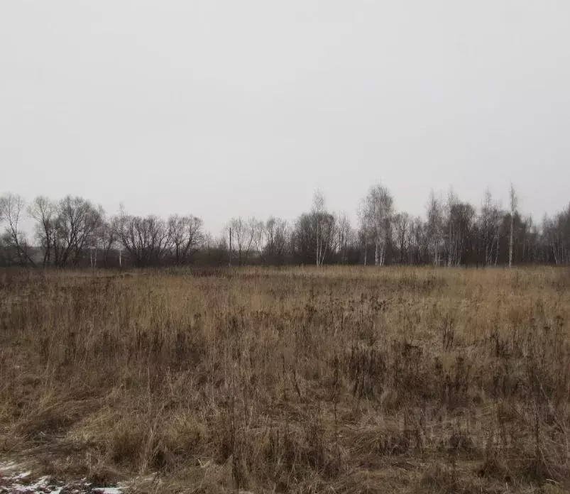Участок в Московская область, Коломна городской округ, д. Жиливо  ... - Фото 0