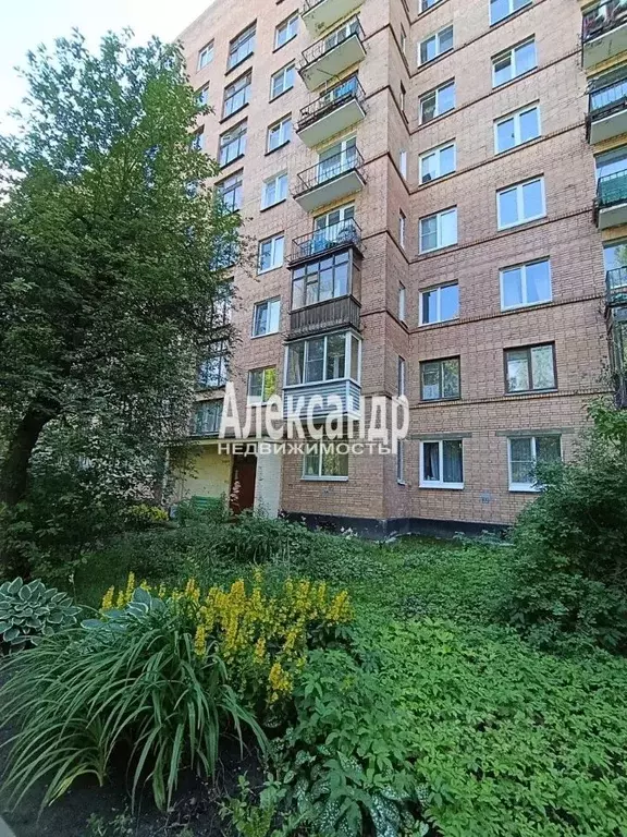 Комната Санкт-Петербург ул. Чекистов, 44 (13.5 м) - Фото 2