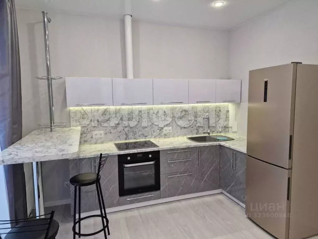 Студия Новосибирская область, Новосибирск ул. Шевченко, 19/1 (70.0 м) - Фото 0