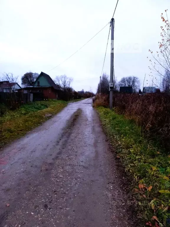 Участок в Вологодская область, Шекснинский муниципальный округ, Заря-3 ... - Фото 2