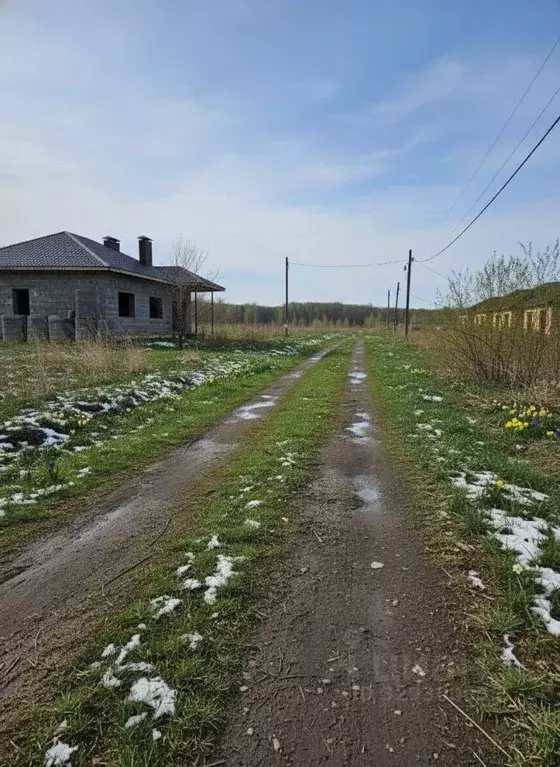 Участок в Оренбургская область, Оренбургский район, Ивановский ... - Фото 2