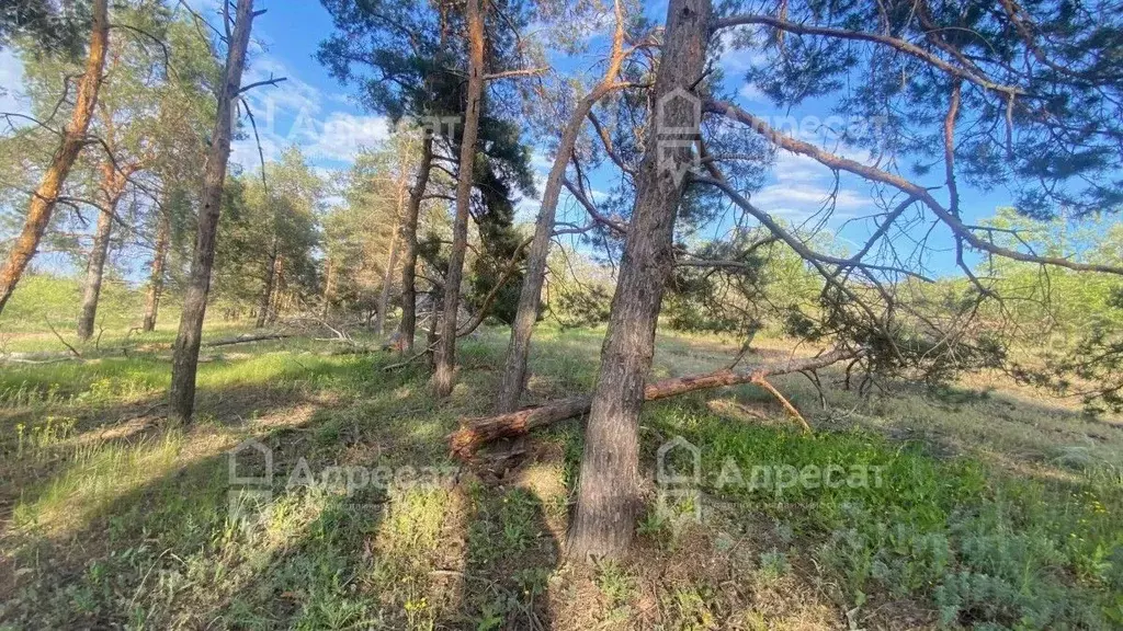 Участок в Волгоградская область, Волгоград ул. Артезианская (7.1 сот.) - Фото 1