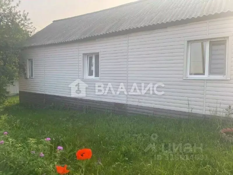 Дом в Пензенская область, с. Бессоновка ул. Большой Колояр, 250 (44 м) - Фото 0