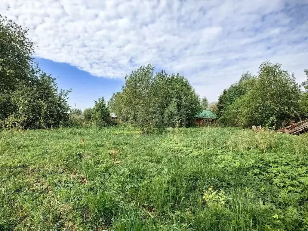 Участок в Ленинградская область, Волховский район, Пашское с/пос, д. ... - Фото 1