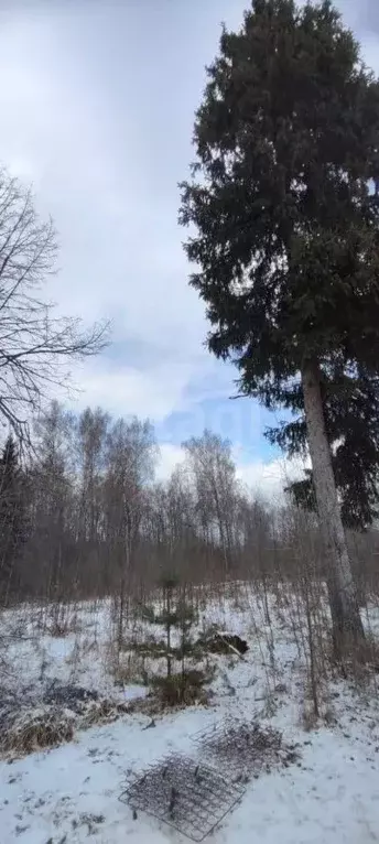 Участок в Московская область, Наро-Фоминский городской округ, Солнце-2 ... - Фото 0