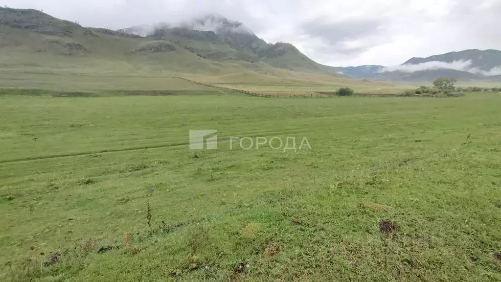 Участок в Алтай, с. Онгудай ул. Каянчинская (394.27 сот.) - Фото 0