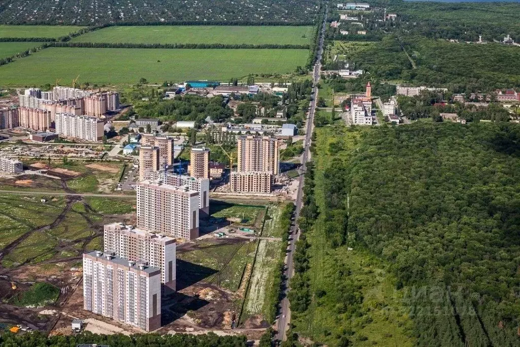 1-к кв. Воронежская область, Воронеж ул. Полковника Богомолова, 3 ... - Фото 0