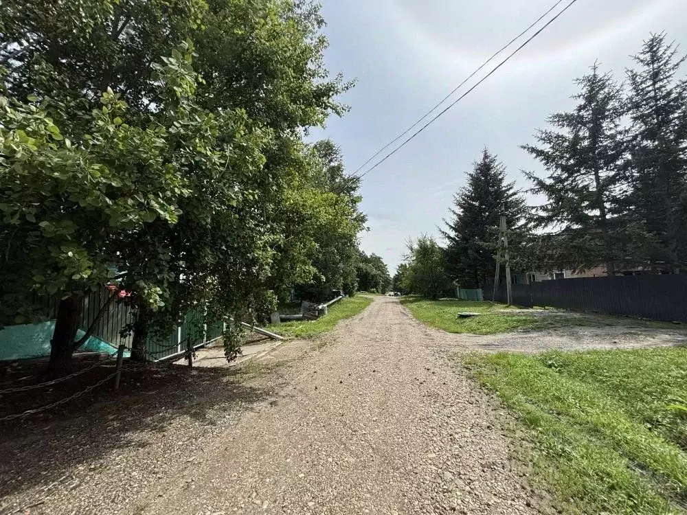 Участок в Амурская область, Серышевский муниципальный округ, с. ... - Фото 1